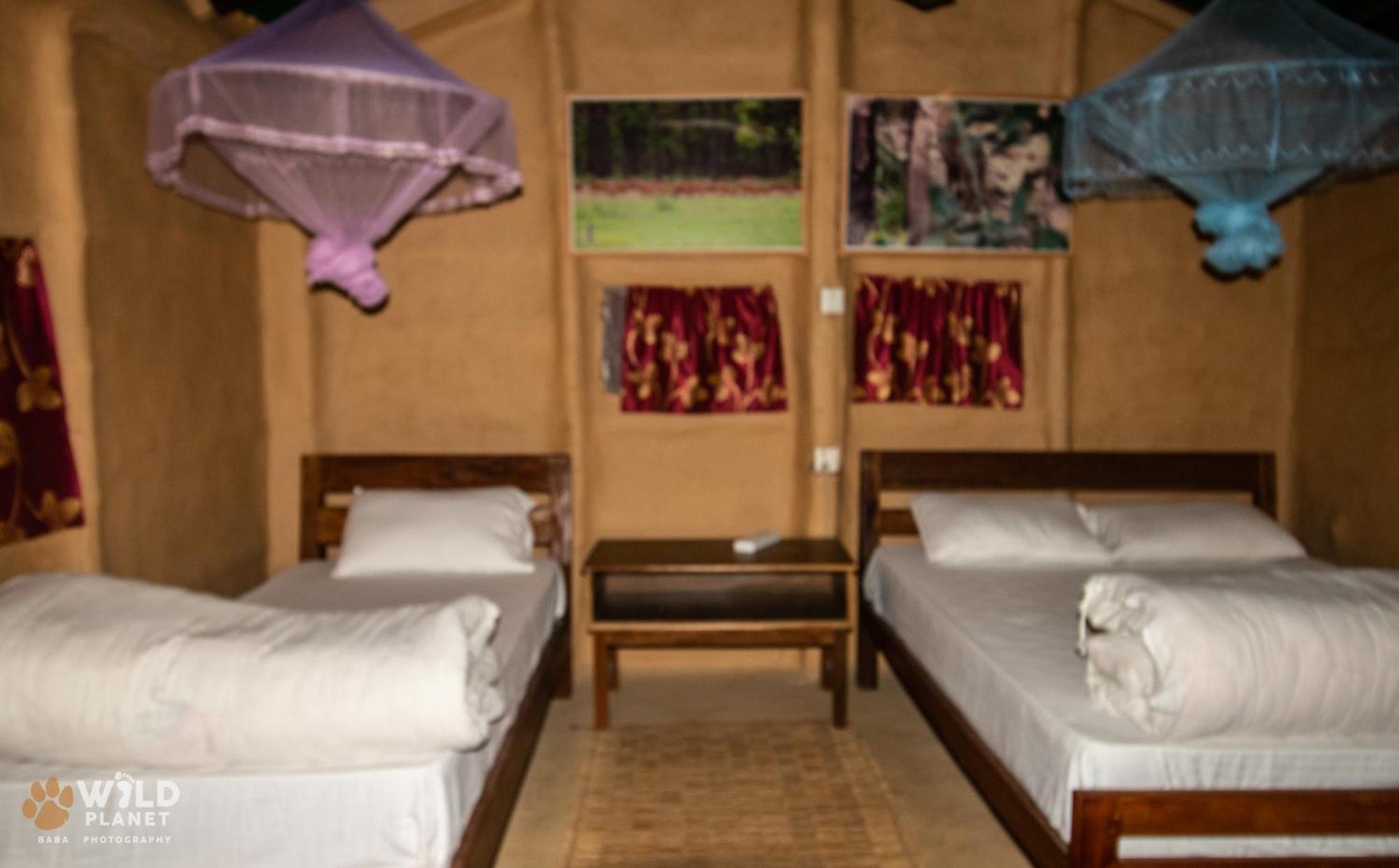 Wild Planet Eco Retreat Hotel Bardiya Buitenkant foto