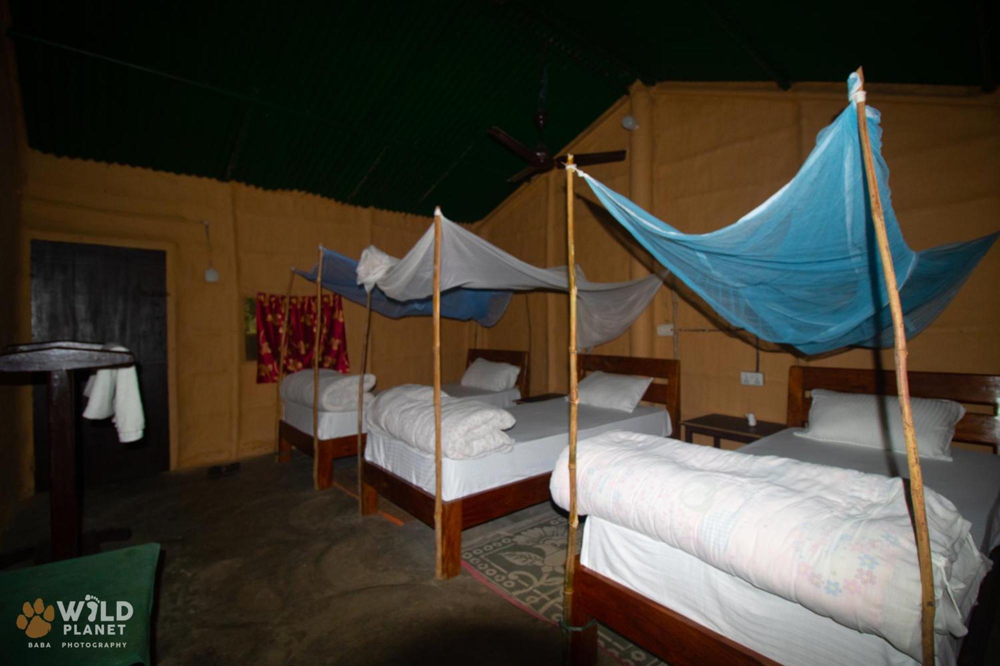 Wild Planet Eco Retreat Hotel Bardiya Buitenkant foto