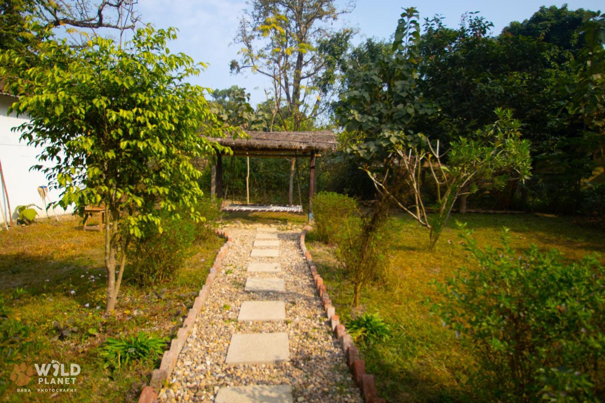 Wild Planet Eco Retreat Hotel Bardiya Buitenkant foto