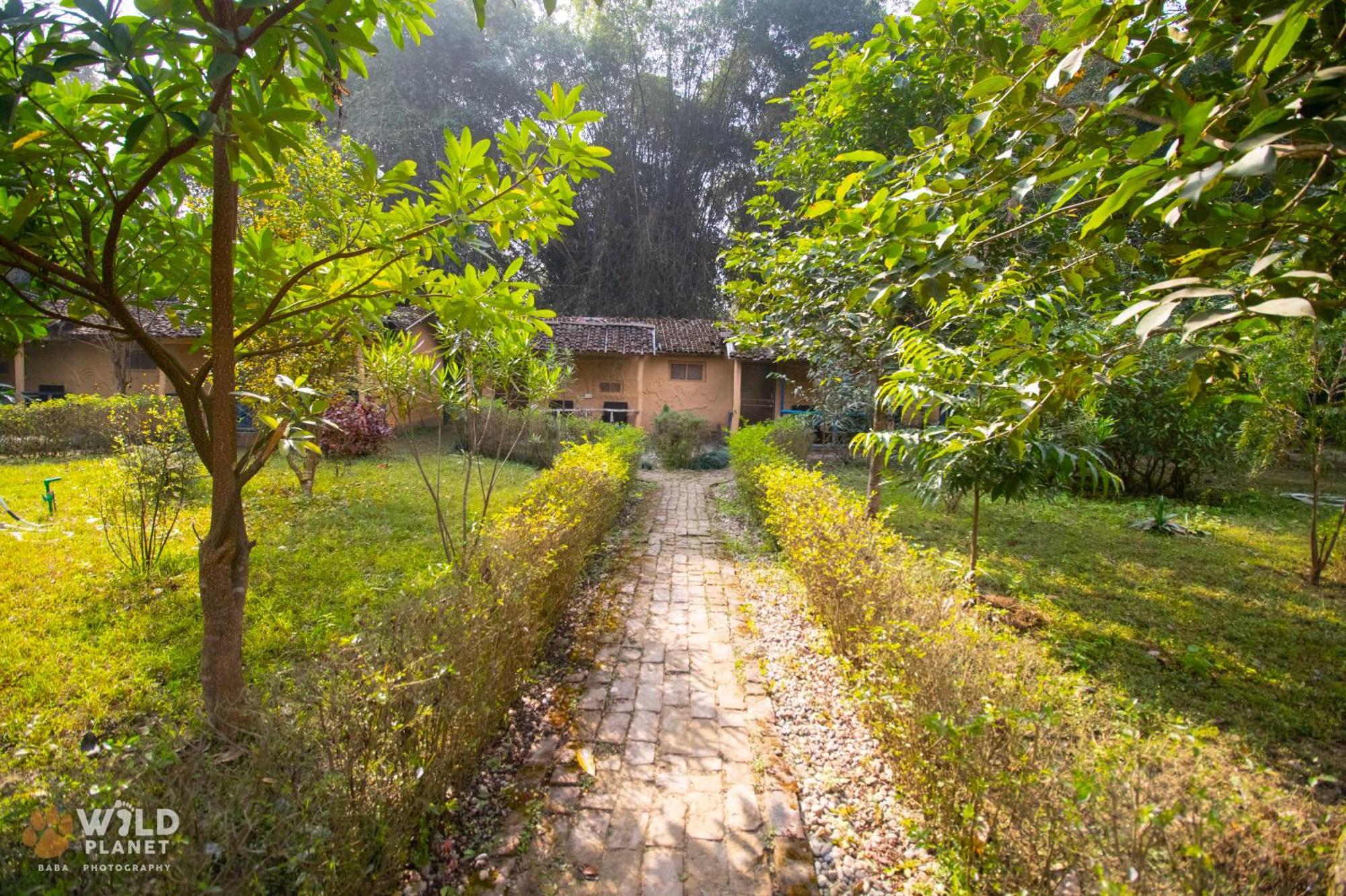 Wild Planet Eco Retreat Hotel Bardiya Buitenkant foto