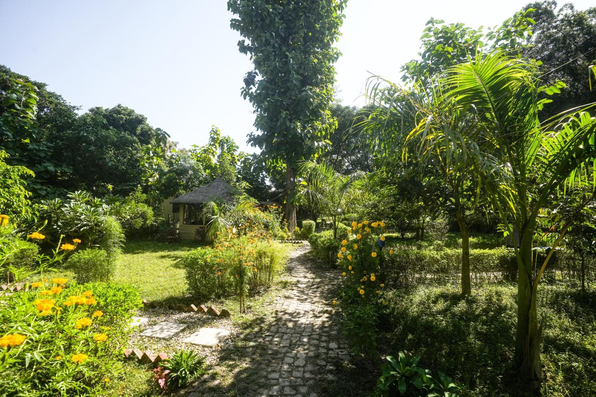 Wild Planet Eco Retreat Hotel Bardiya Buitenkant foto