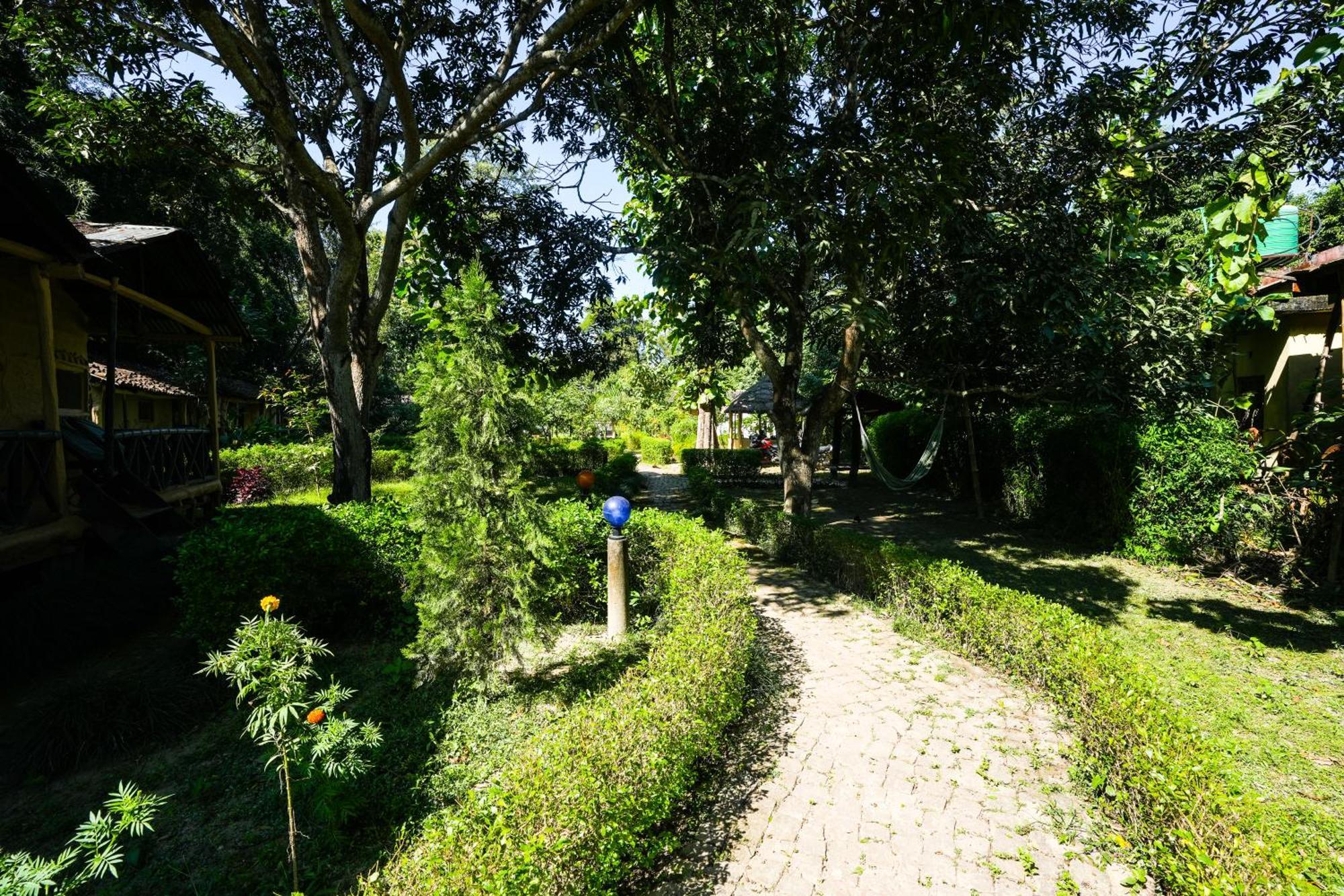 Wild Planet Eco Retreat Hotel Bardiya Buitenkant foto