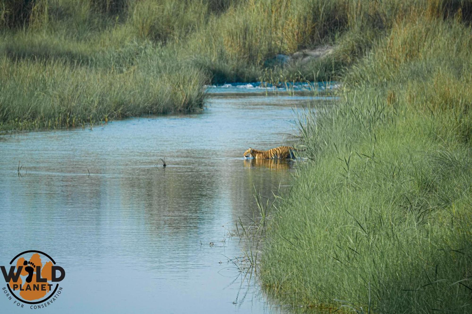 Wild Planet Eco Retreat Hotel Bardiya Buitenkant foto