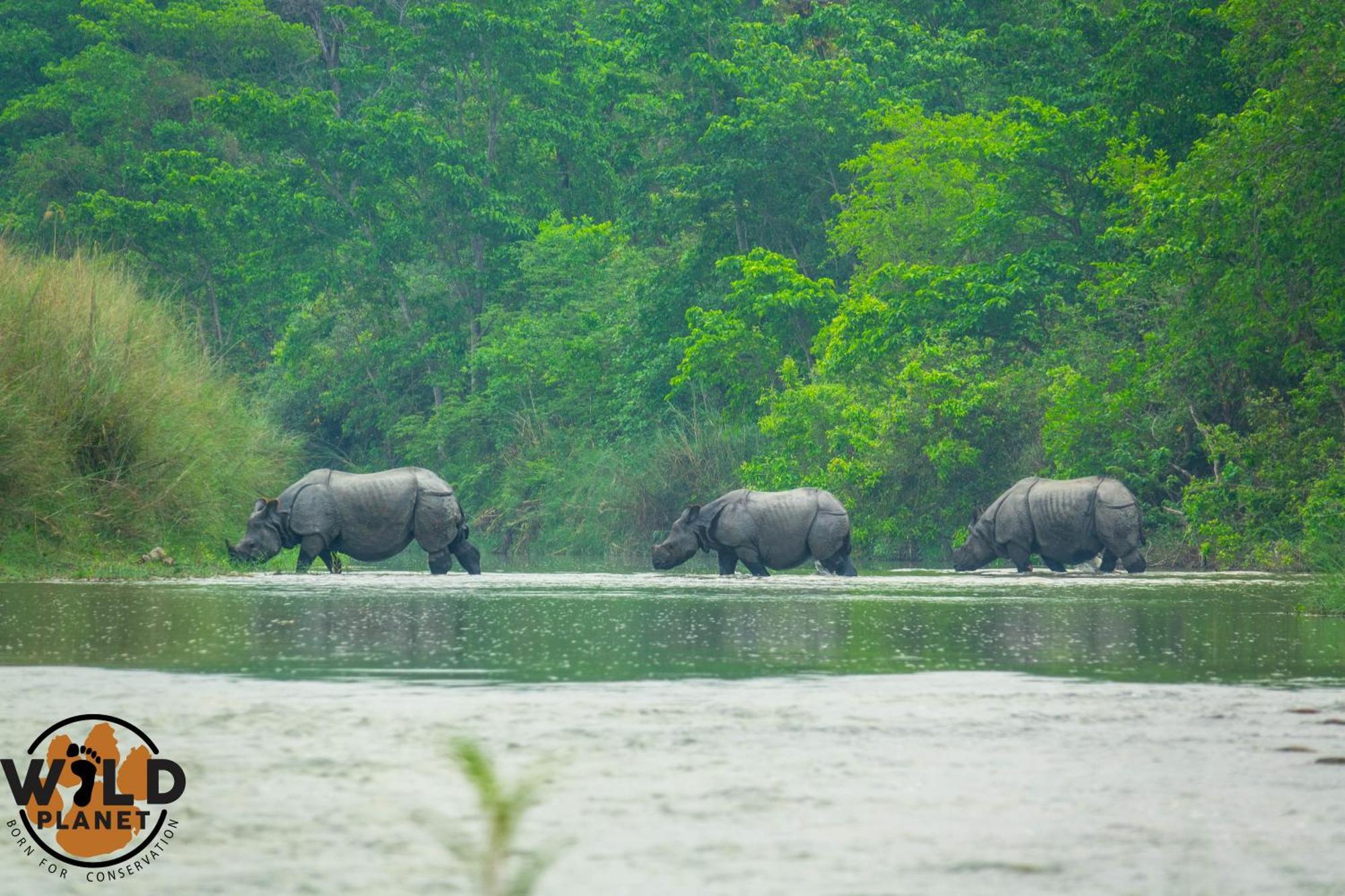 Wild Planet Eco Retreat Hotel Bardiya Buitenkant foto