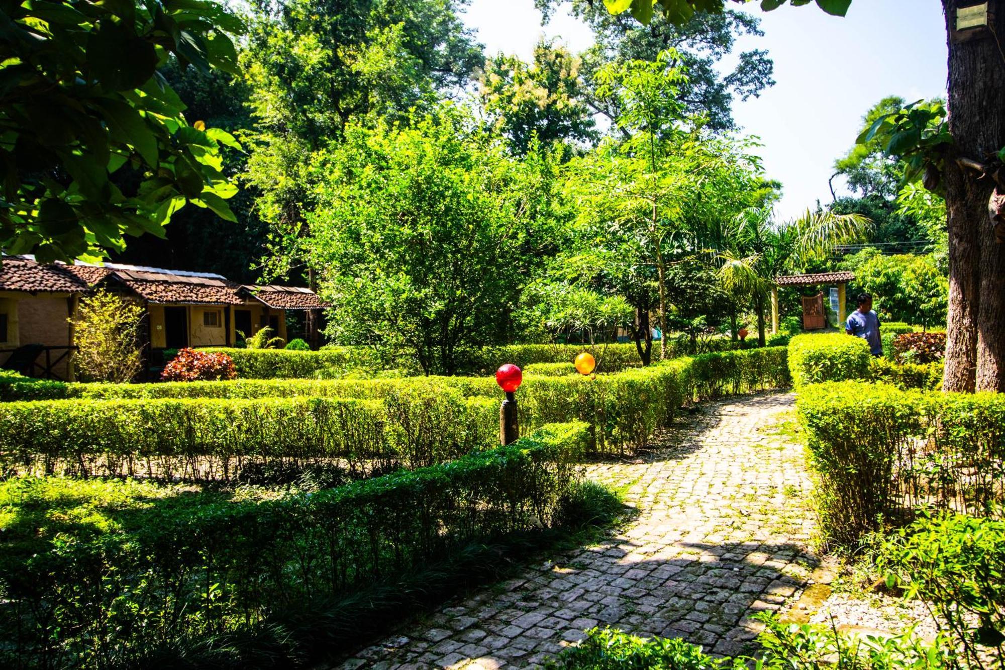Wild Planet Eco Retreat Hotel Bardiya Buitenkant foto