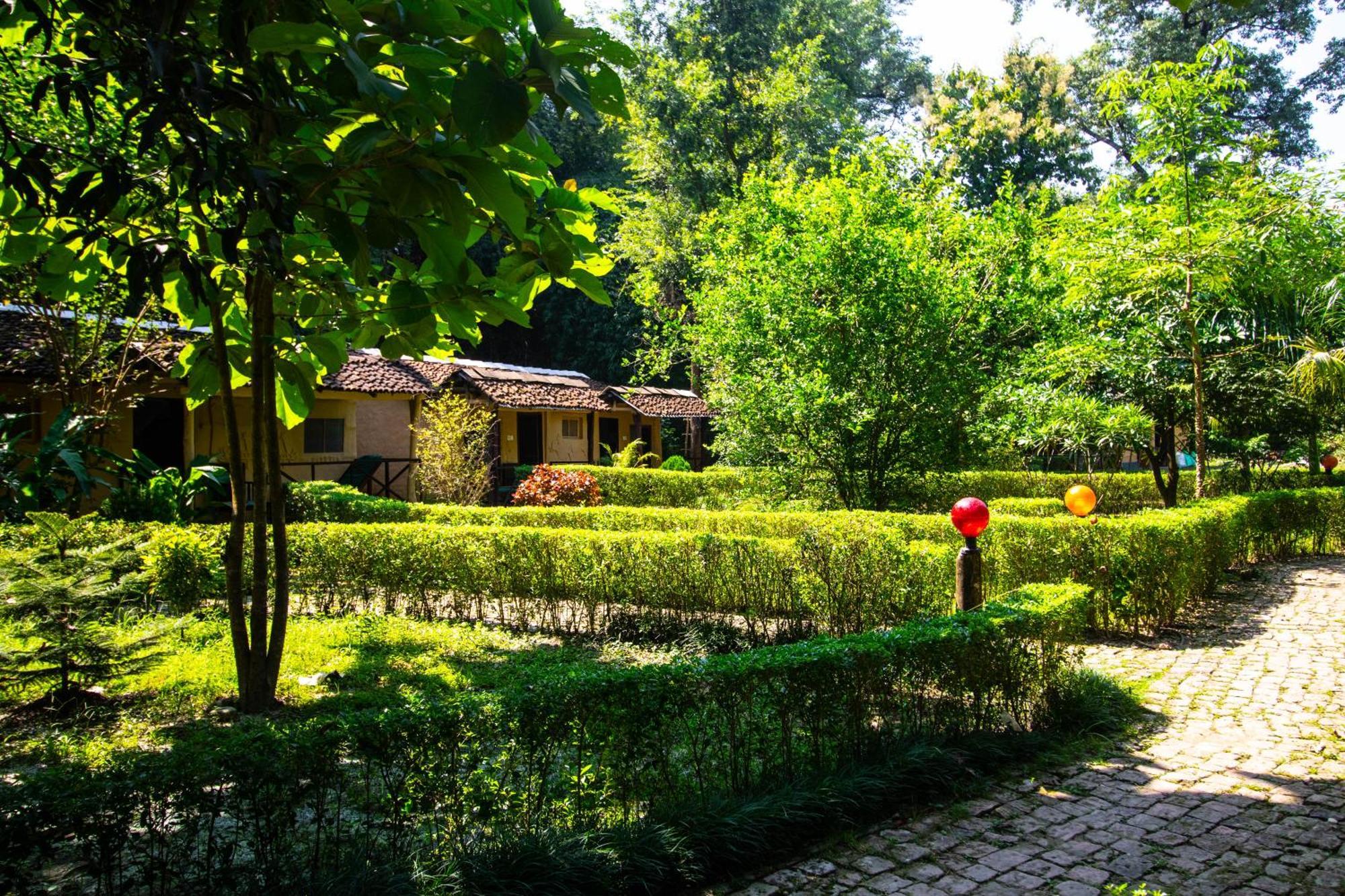 Wild Planet Eco Retreat Hotel Bardiya Buitenkant foto
